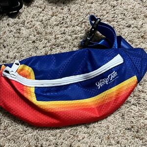 NWOT Hoop Tea Multicolor Waist Bag